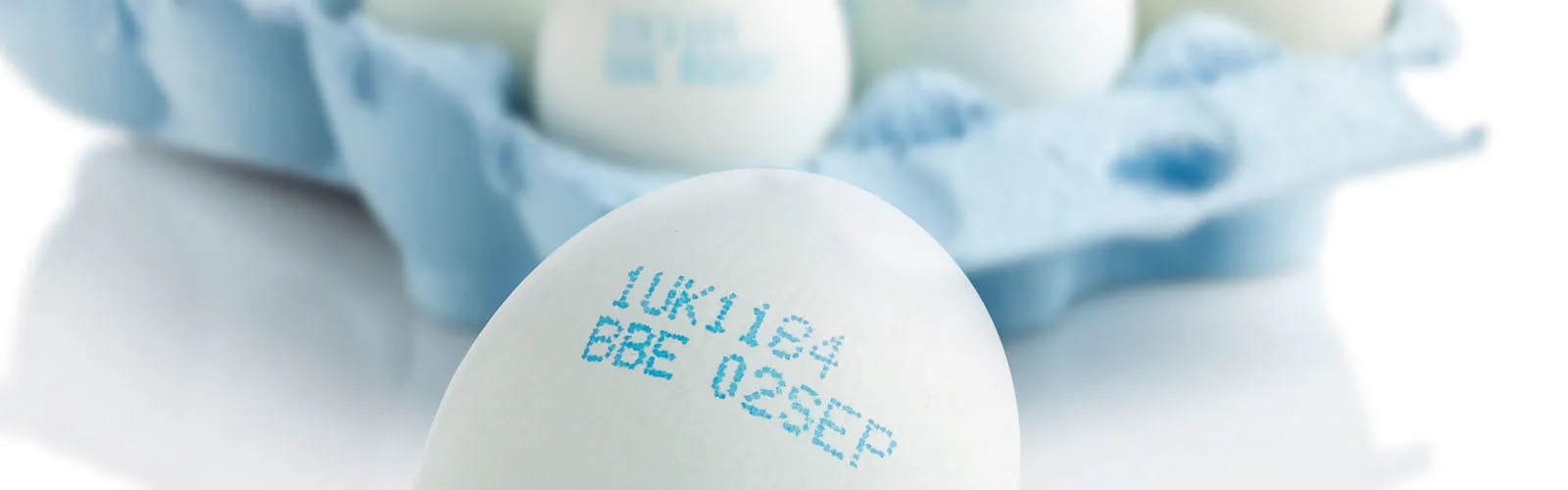 Domino Egg Coding Blue Ink