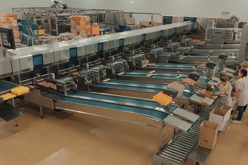 grupo-cac-case-study-Body-5