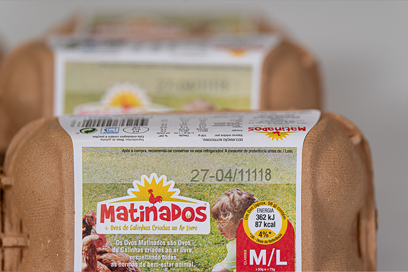 grupo-cac-case-study-Body-6