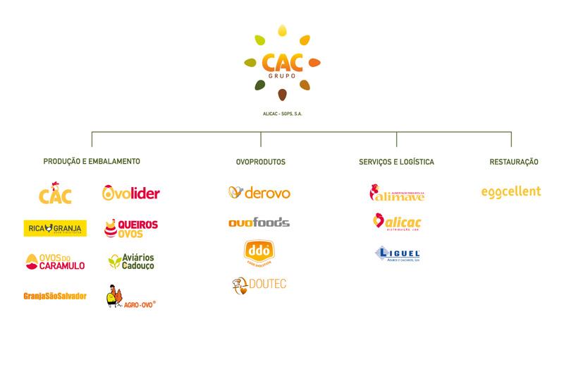 Grupo CAC org chart