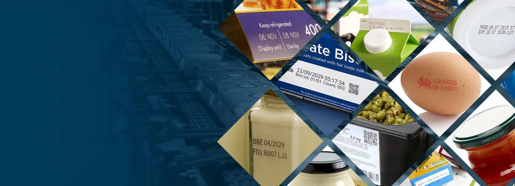 Sector-Page-Food-Header