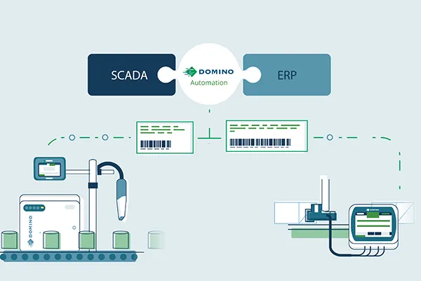 Domino-Automation-MultiColumn-Standardise