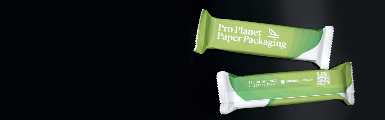 Sappi case study web banner (1)